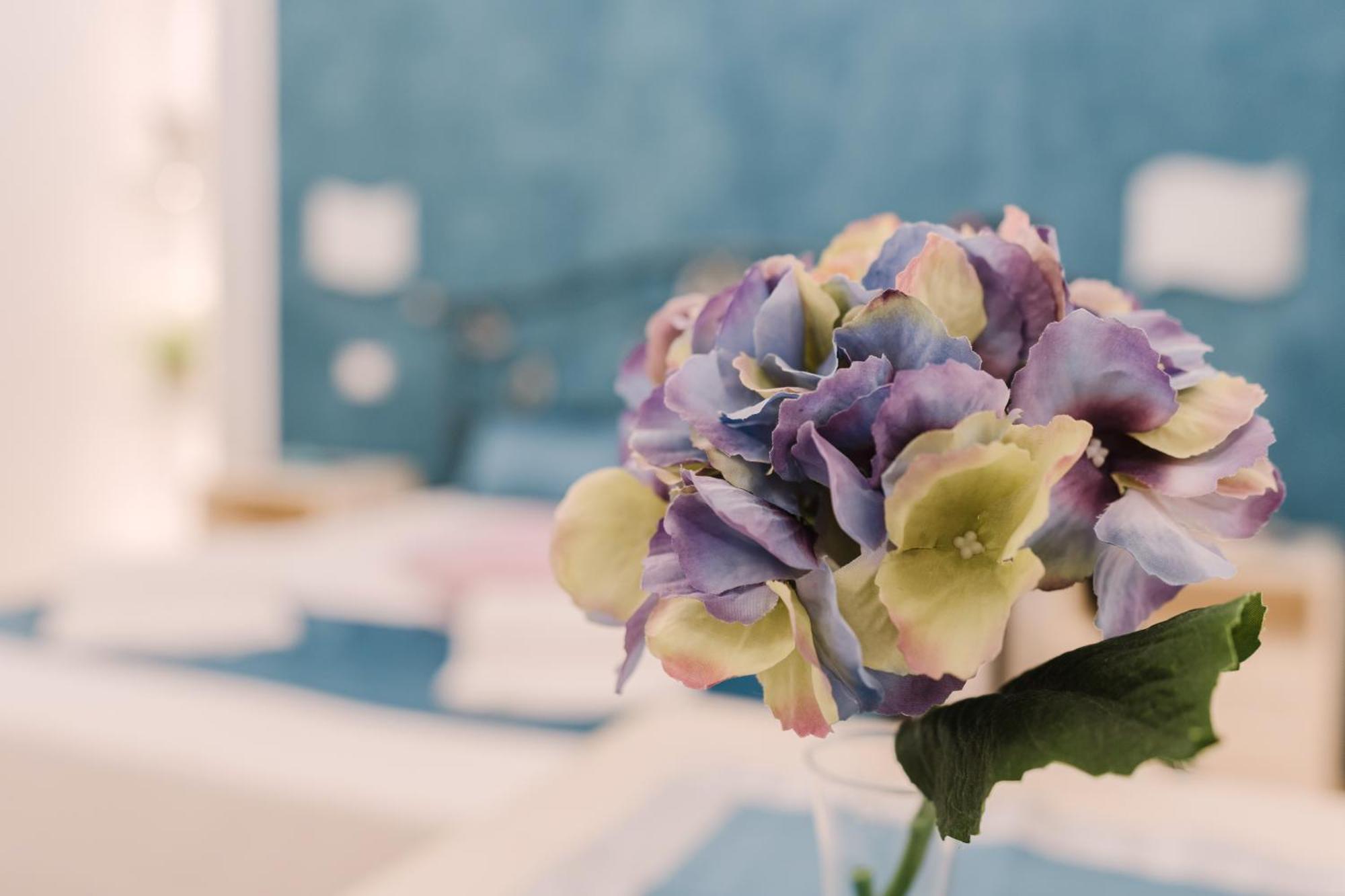B&B Le Ortensie Сан Вито ло Капо Екстериор снимка